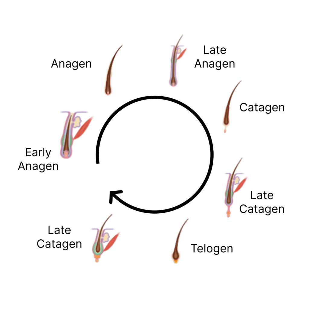 Customized topical treatment for hair loss